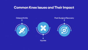 Common Knee Issues and Their Impact